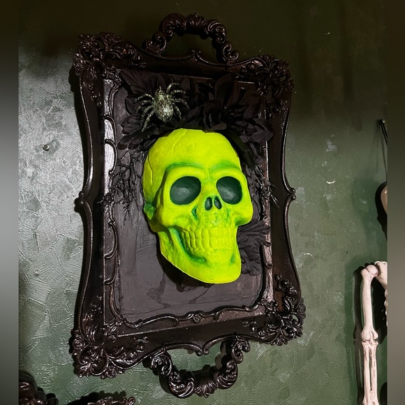 Green Skull Academia - Picture 2 of 3